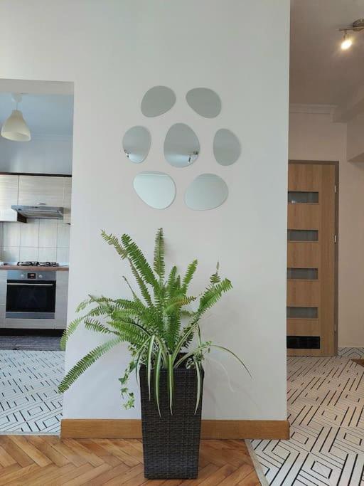 Appartement Domin Domin à Częstochowa Extérieur photo