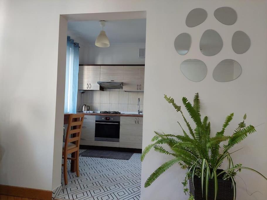 Appartement Domin Domin à Częstochowa Extérieur photo